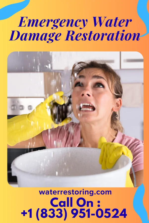 Emergency Water Damage Restoration in Clifton, IL