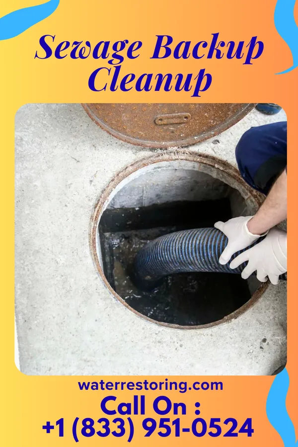 Sewage Backup Cleanup in Clifton, IL